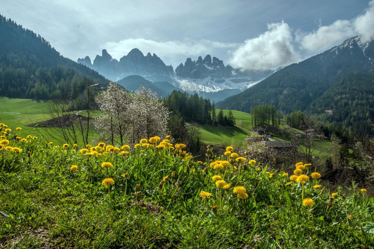Jaiterhof Διαμέρισμα Funes  Εξωτερικό φωτογραφία